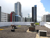 IABR: Test Site Rotterdam