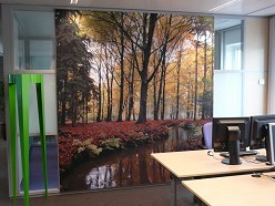 Maatwerk akoestische oplossingen