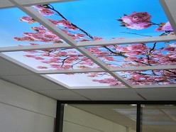 Beeldverlichting binnen systeemplafond