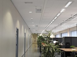 Thermatex FEINSTRATOS / FEINSTRATOS GEPERFOREERD / STAR