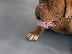 Vloer en wand in ��n