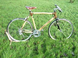 De bamboe fiets, echte hit��op naar het plafond! 