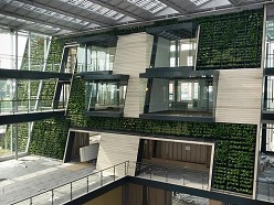 Modulogreen�