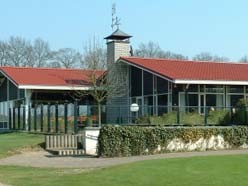 stalen dakpanplaten