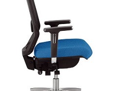 Dauphin Shape