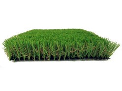 EcoSense