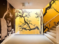 decovers wallcovering