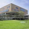 deSingel in de picture