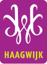 Architectuurmanifestatie op Haagwijk