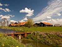 Faro: �Ons einddoel is energieneutraal wonen�