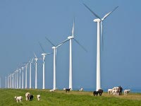 'Windmolens in Noordzeekanaalgebied kunnen'