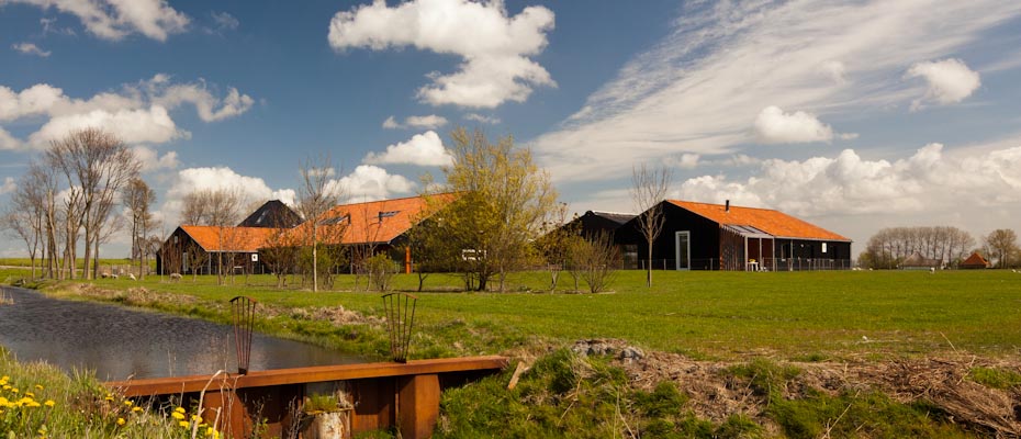 Faro: �Ons einddoel is energieneutraal wonen�