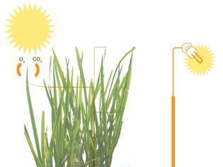 Duurzaamheidsprijs voor Plant-...