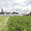 Middelwijck