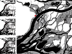 `Dijk van een Kop` - Biesbosch