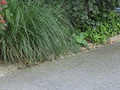 Hemelwater afkoppeling