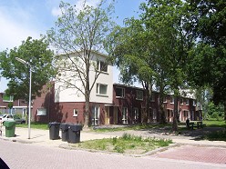 Vrijheidswijk