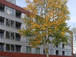 Eindhoven Zuiderpark