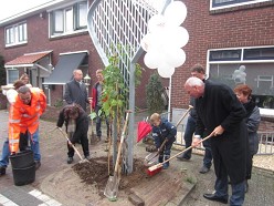 Enschede kleurt groen door Boommm