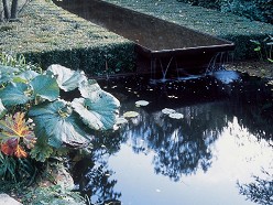 Tuin