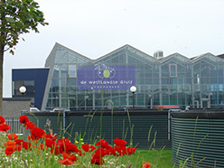 De Westlandse Druif