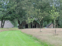 Landgoed de Wieselse Enk