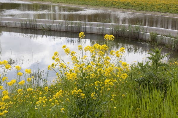 Bureau B+B Stedebouw En Landschapsarchitectuur | Wijkeroogpark ...