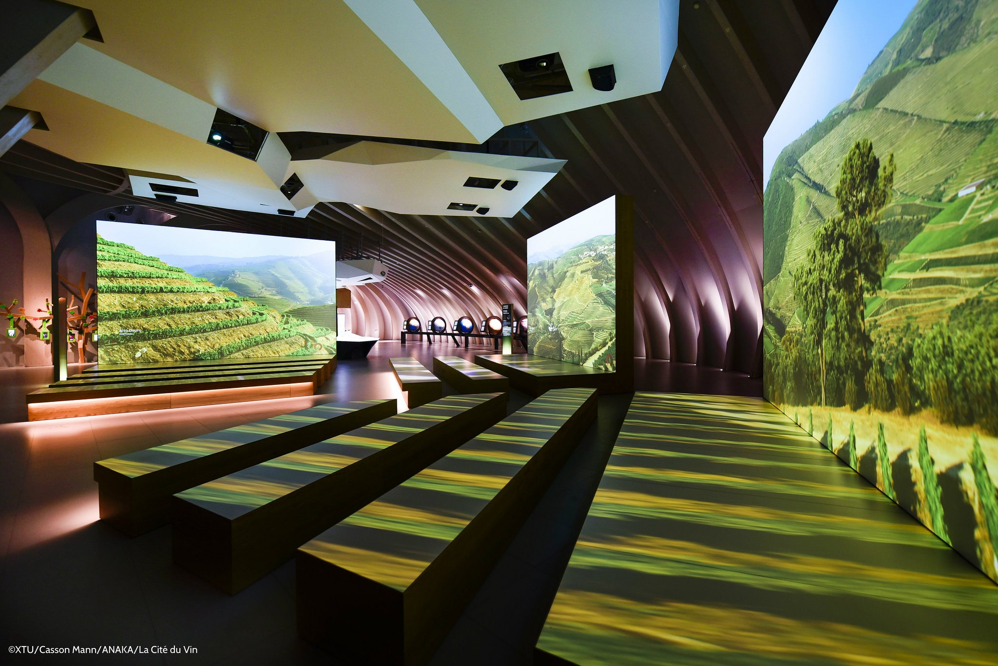 Wijnmuseum in walsende beweging - architectenweb.nl