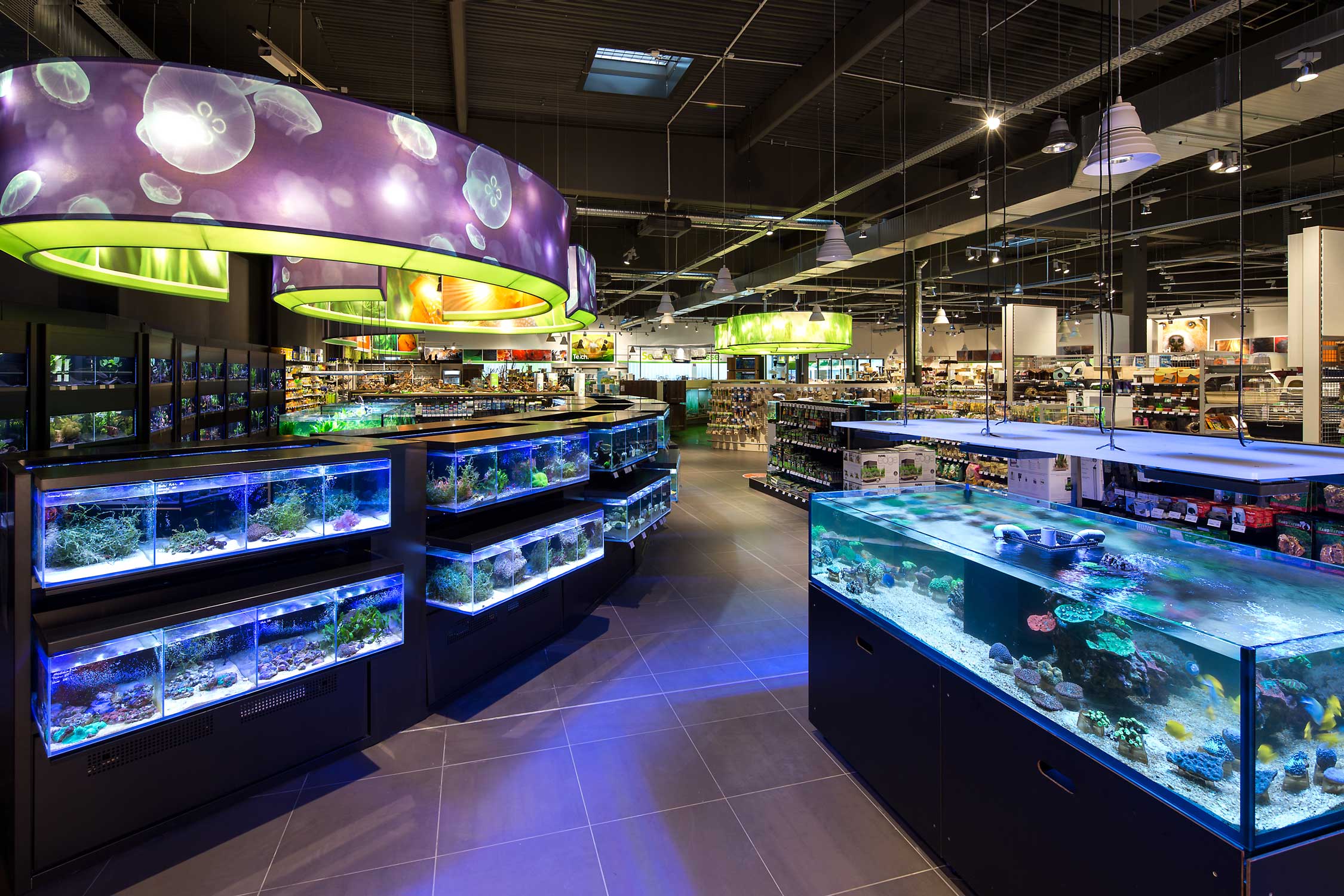 Finishing Dutch Flagshipstore Megazoo, Düsseldorf architectenweb.nl