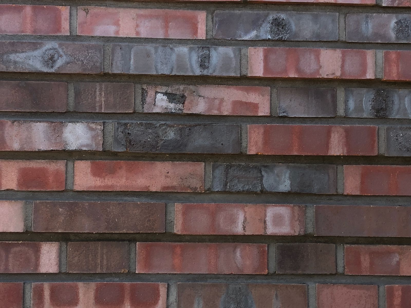 Strating Gevelsteenmeesters Pekela Xtreme en Mussel Xtreme