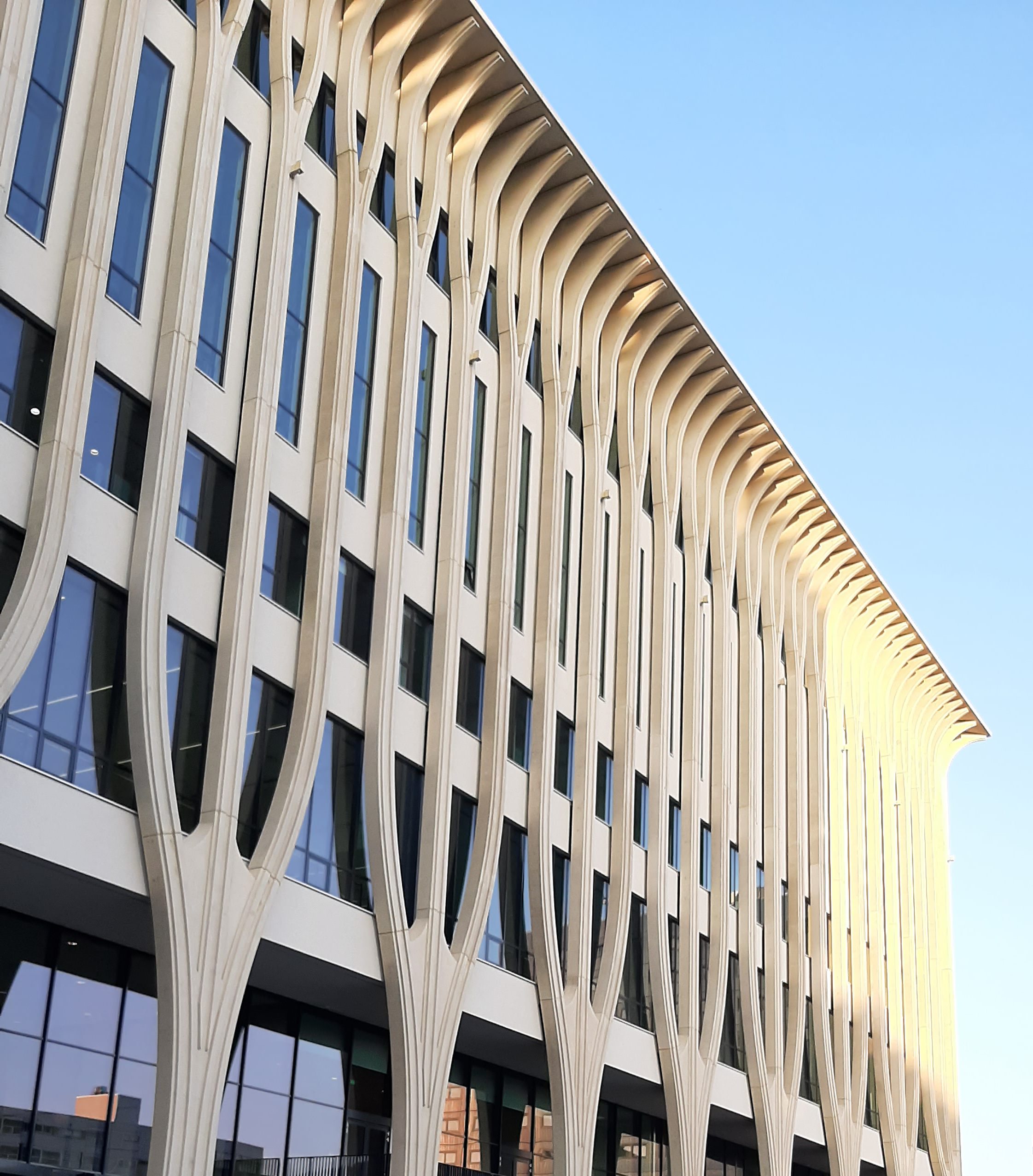 Knauf B.V. | Onderwijs- En Cultuurcentrum Amare - Den Haag ...