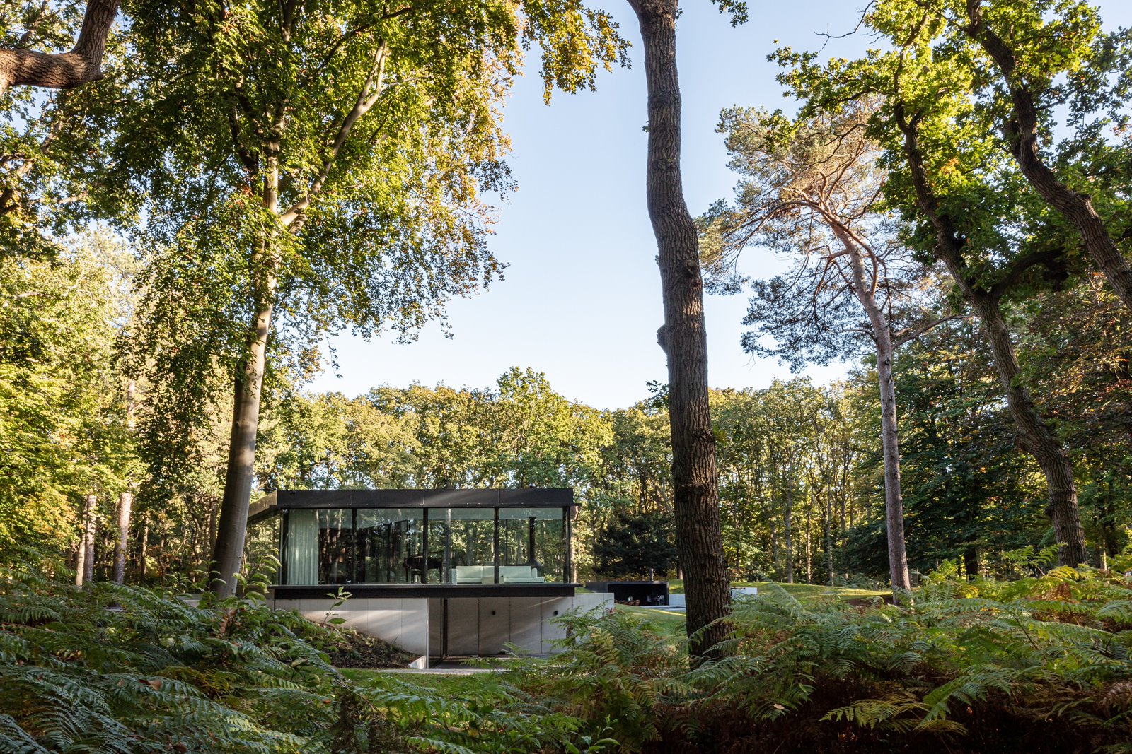 Villa Door Paul De Ruiter Architects Voegt Zich In Groen Duinlandschap ...