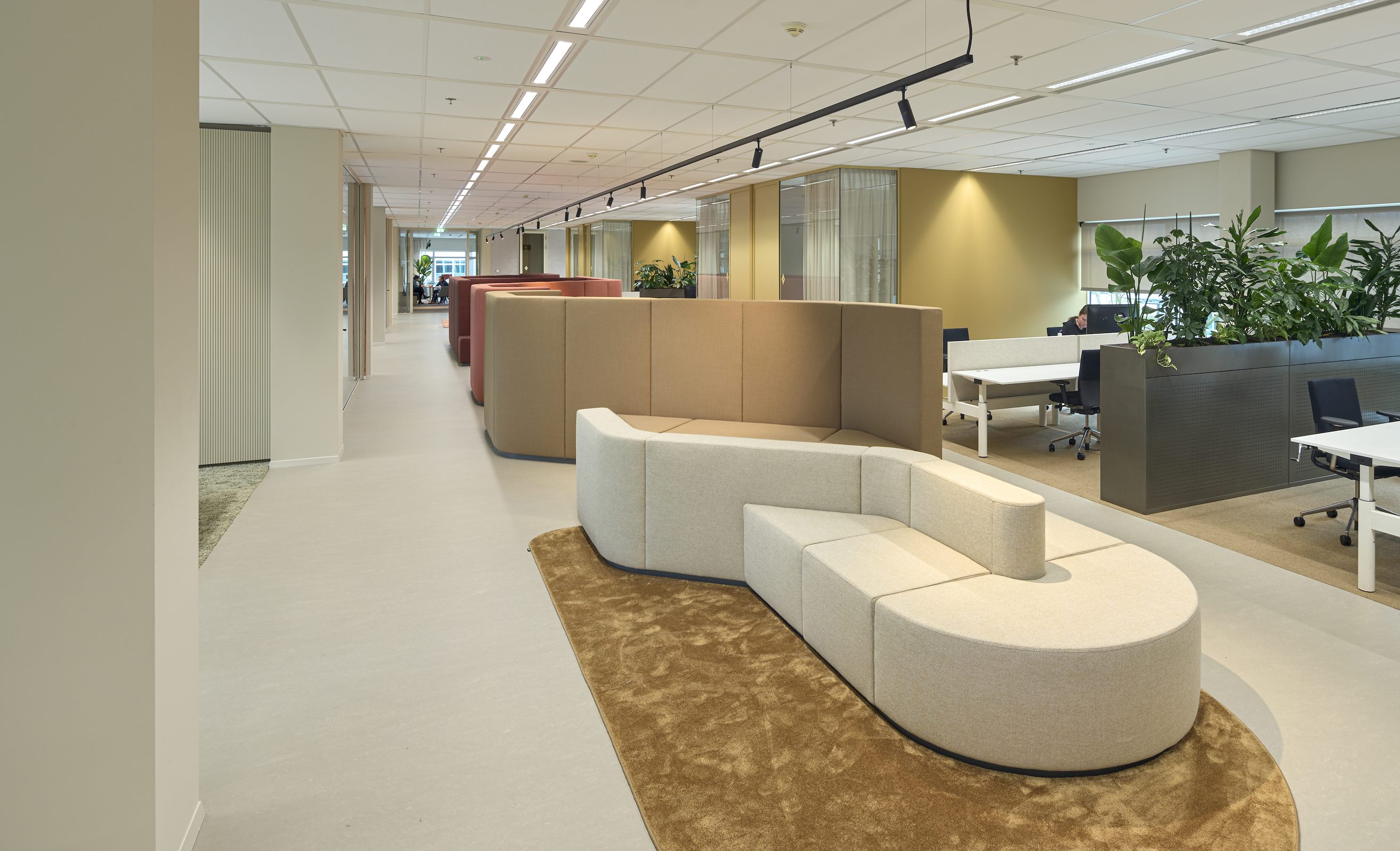 Warm en toch zakelijk kantoorinterieur door Brique Architecten ...